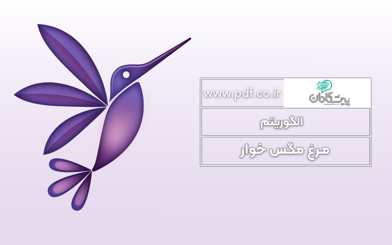 الگوریتم مرغ مگس خوار چیست؟ ✔️