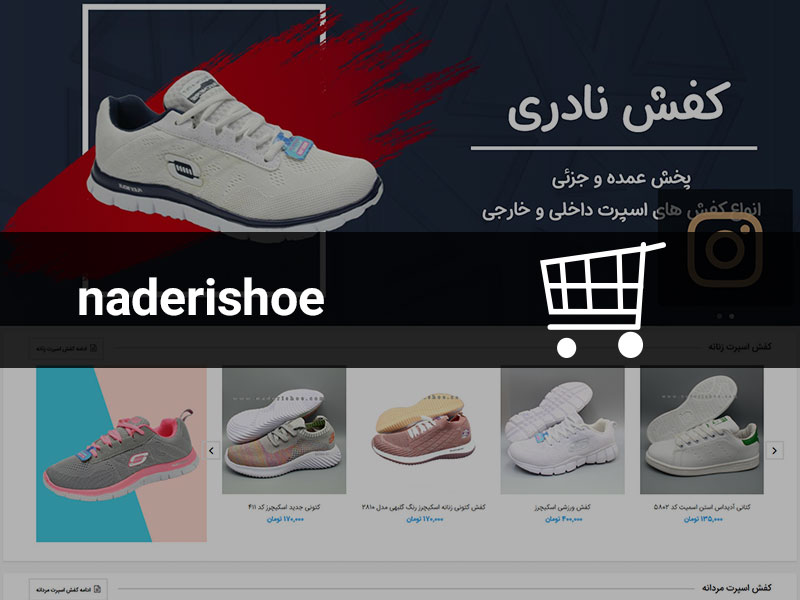طراحی سایت فروشگاهی کفش نادری